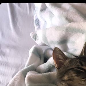 Meet your Posher, Mayassa